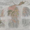 65x_04.gif